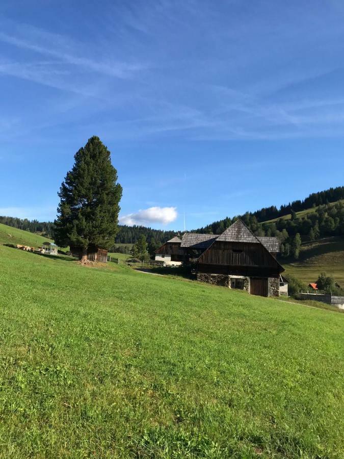 سانكت جورجين أوب موراو Wohlfuehlpension Kreischberg Inklusive Murau Sommergaestecard Ab 2 Naechte المظهر الخارجي الصورة